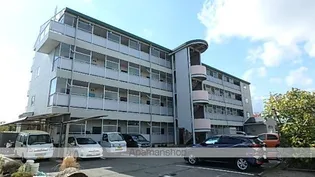 3パーシモンズパレスの画像