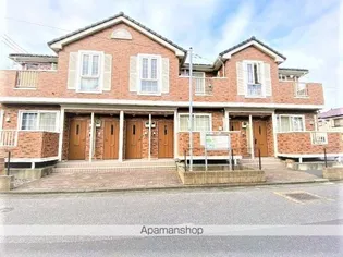 ミニヨン クーマの画像