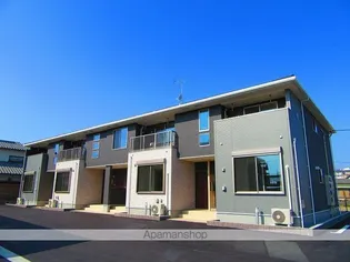 マルセリーノ Bの画像