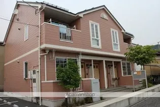 プリムローズの画像