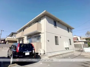 モーリDの画像