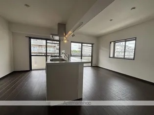 隆豊ハイツ【2階】の内装