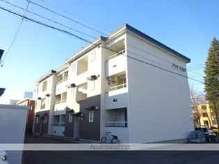 プラナスの画像