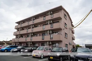 AKOYA PERLE IIの画像