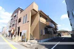 ONLY ONE しまのの画像