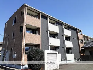 シエルの画像