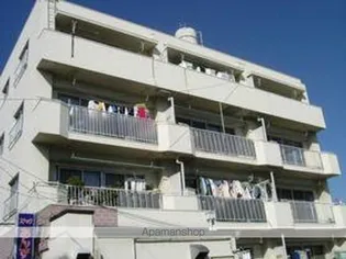 岩崎ハイムの画像