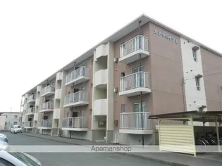 カナヤハイツⅡ【3階】の外観