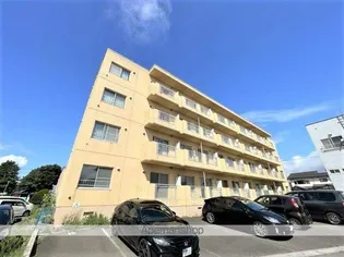 ロイヤルライフ富岡【204号室】の外観