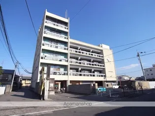 ネオ ブルームの画像