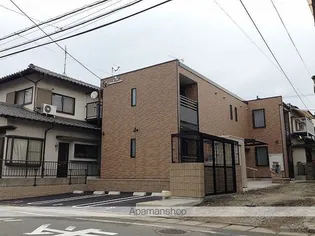 レオネクストミーツハオ シャッツの画像