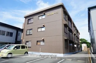 カスターニの画像