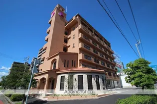 ルークロエの画像
