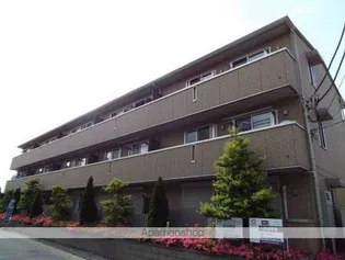 ラヴィーヌの画像