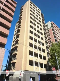 GRANDEUR住吉壱番館【11階】の外観