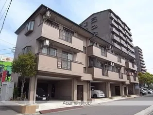 アムール正徳の画像