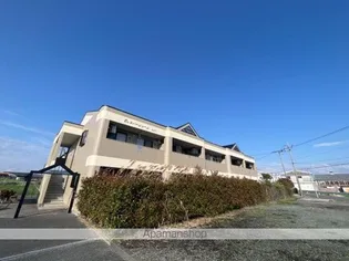 エバーグリーン国武の画像