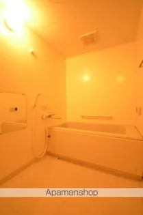 PEACEFULL N−2【4階】の風呂