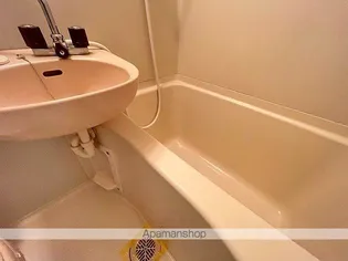 グランテージ城ケ崎【205号室】の風呂