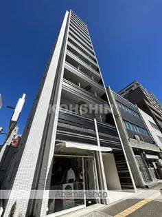 ボンニーの画像
