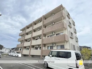 PISSENLIT2の画像