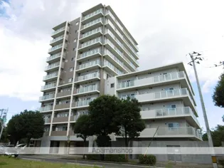 カスタリア榴ヶ岡【12階】の外観