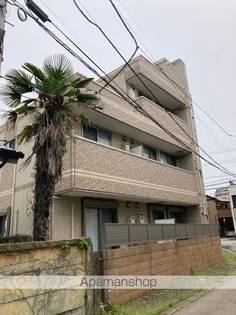 アウルの画像