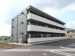 シャンティの画像
