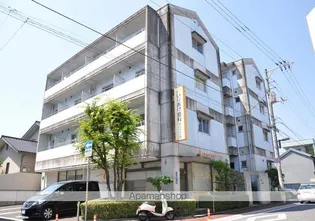 いりあけぱてぃおの画像