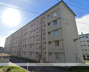 若草501マンションの画像