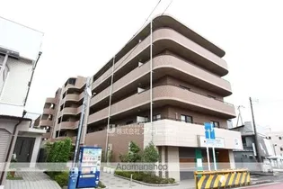 ソレイユ華の画像