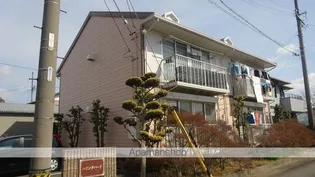 ハミングバードの画像