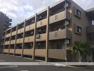 アンシャンテYの画像