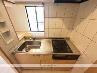 スプリング・ビック・ユー【1階】のキッチン