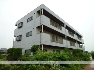 ルミエール岸の画像