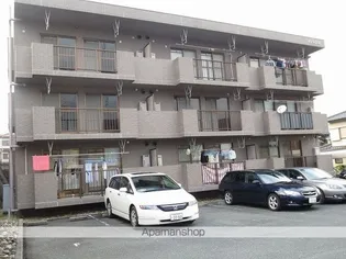 サンナイトの画像