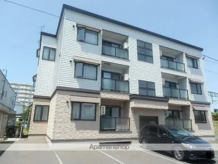 ステア菊水T Hの画像