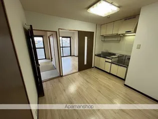 ハイツリバーランド【203号室】の居間