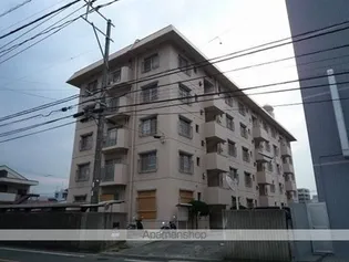 ジェミニ井尻の画像