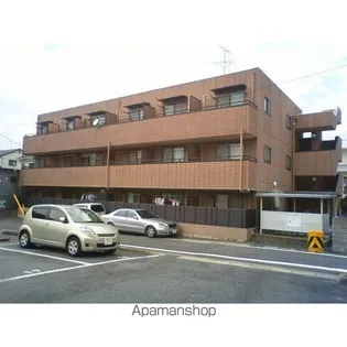 オータム ライト5の画像