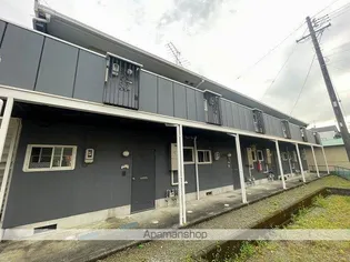 ライムライトAの画像