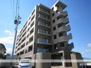 ダンデェリオンの画像