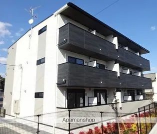 シャイニーの画像