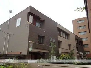 ステラ ルーチェの画像