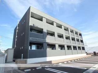 グレイス シグマの画像