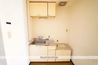 ヴィラ・ドゥマン【201号室】のキッチン