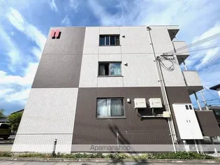 サルビアの画像