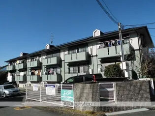 サニーヒルズの画像