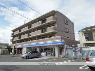 セイラス21の画像