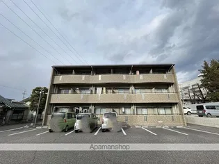 サンパークひまわりの画像